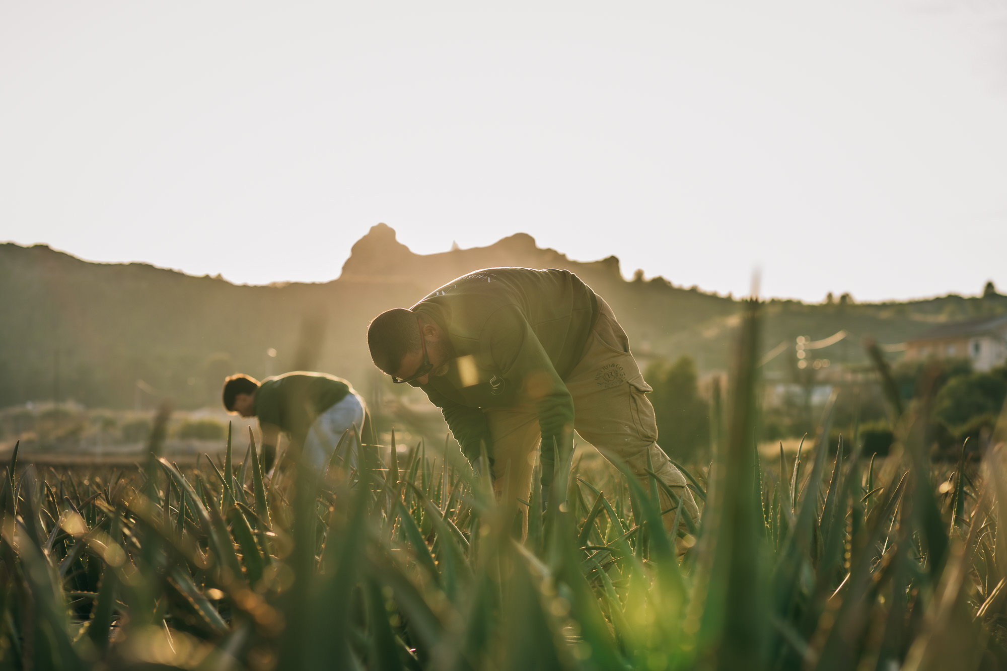 Entorno natural y agricultura responsable de Nankurunaisa
